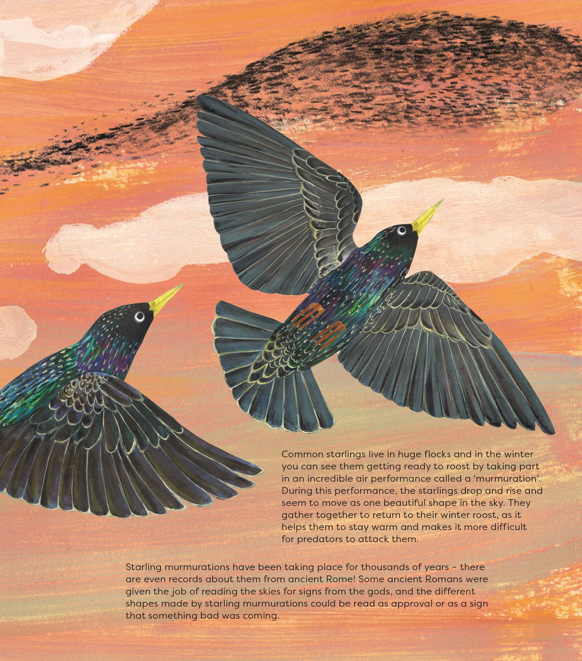 Birds of a Feather