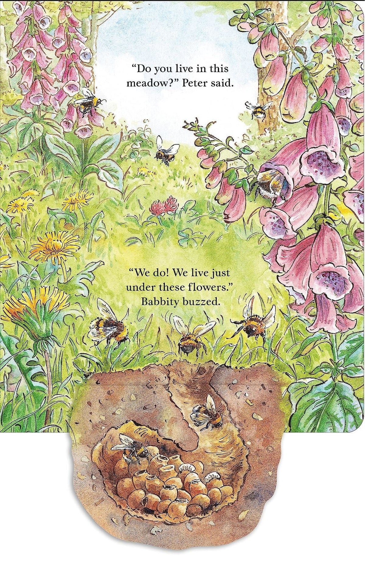 Peter Rabbit: Forest Homes a Peep Inside Tale