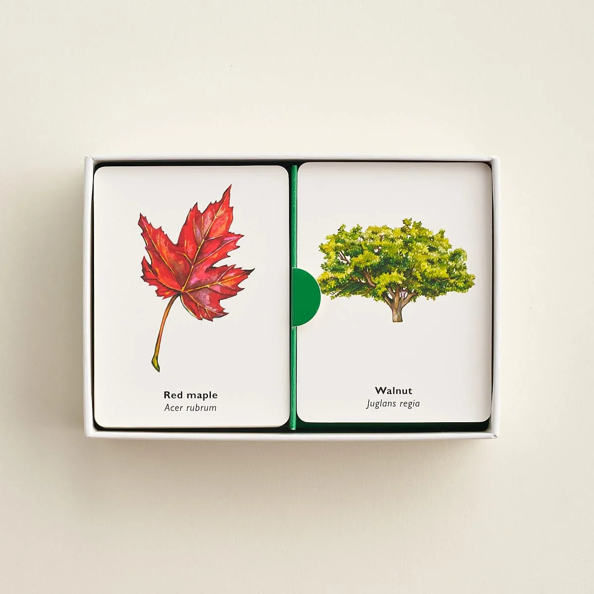 Match a Leaf: A Tree Memory Game