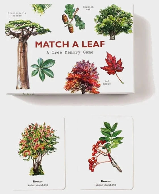 Match a Leaf: A Tree Memory Game