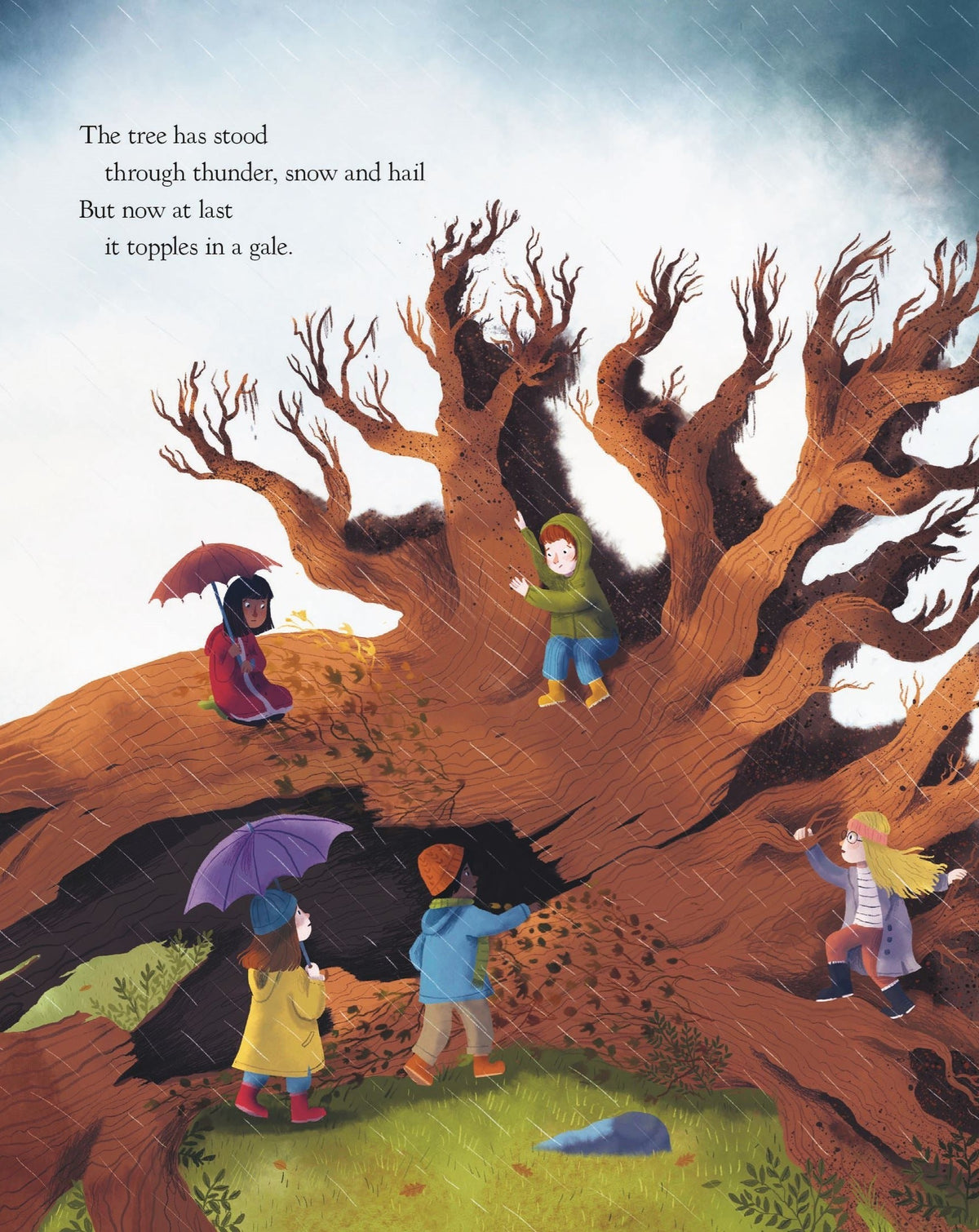 The Oak Tree