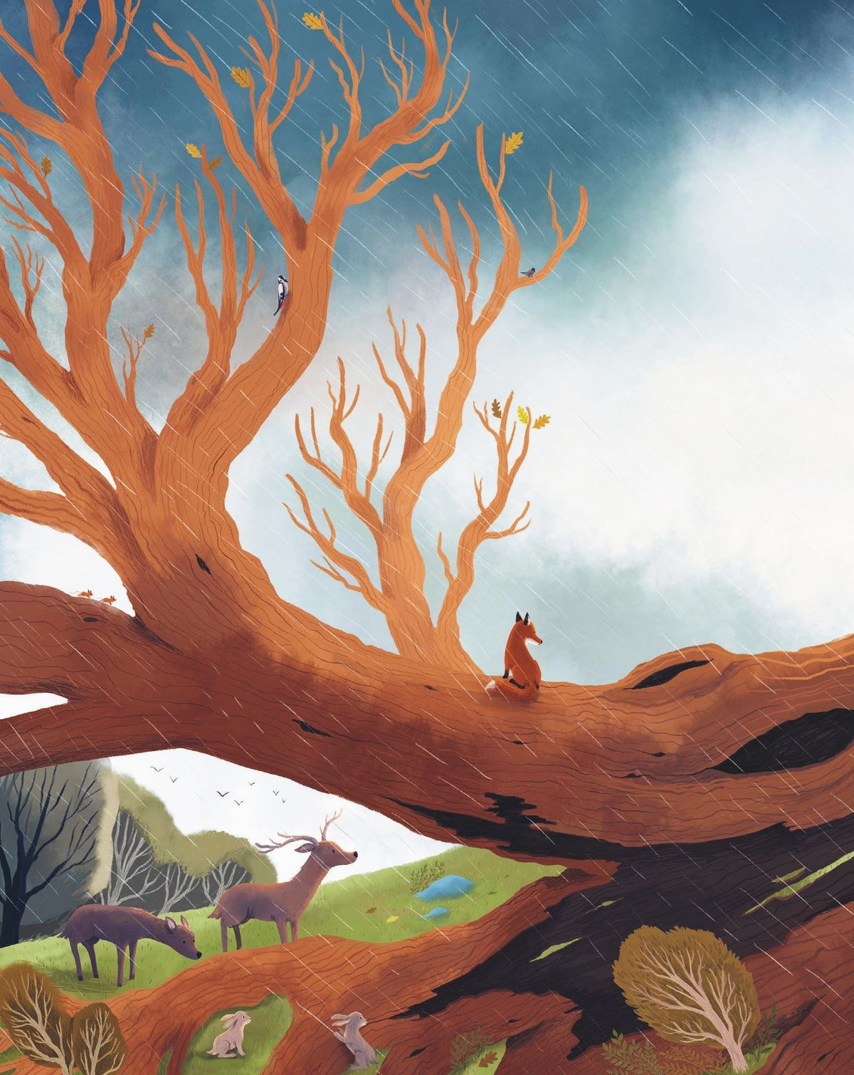 The Oak Tree