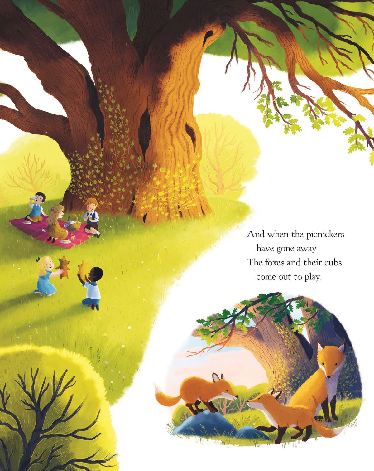 The Oak Tree