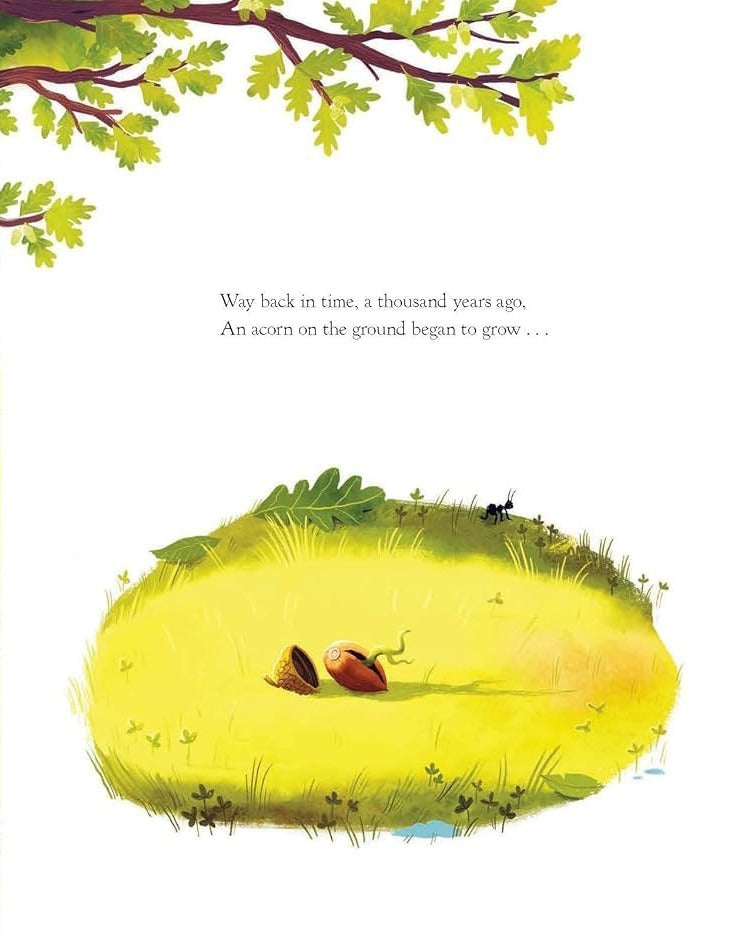 The Oak Tree