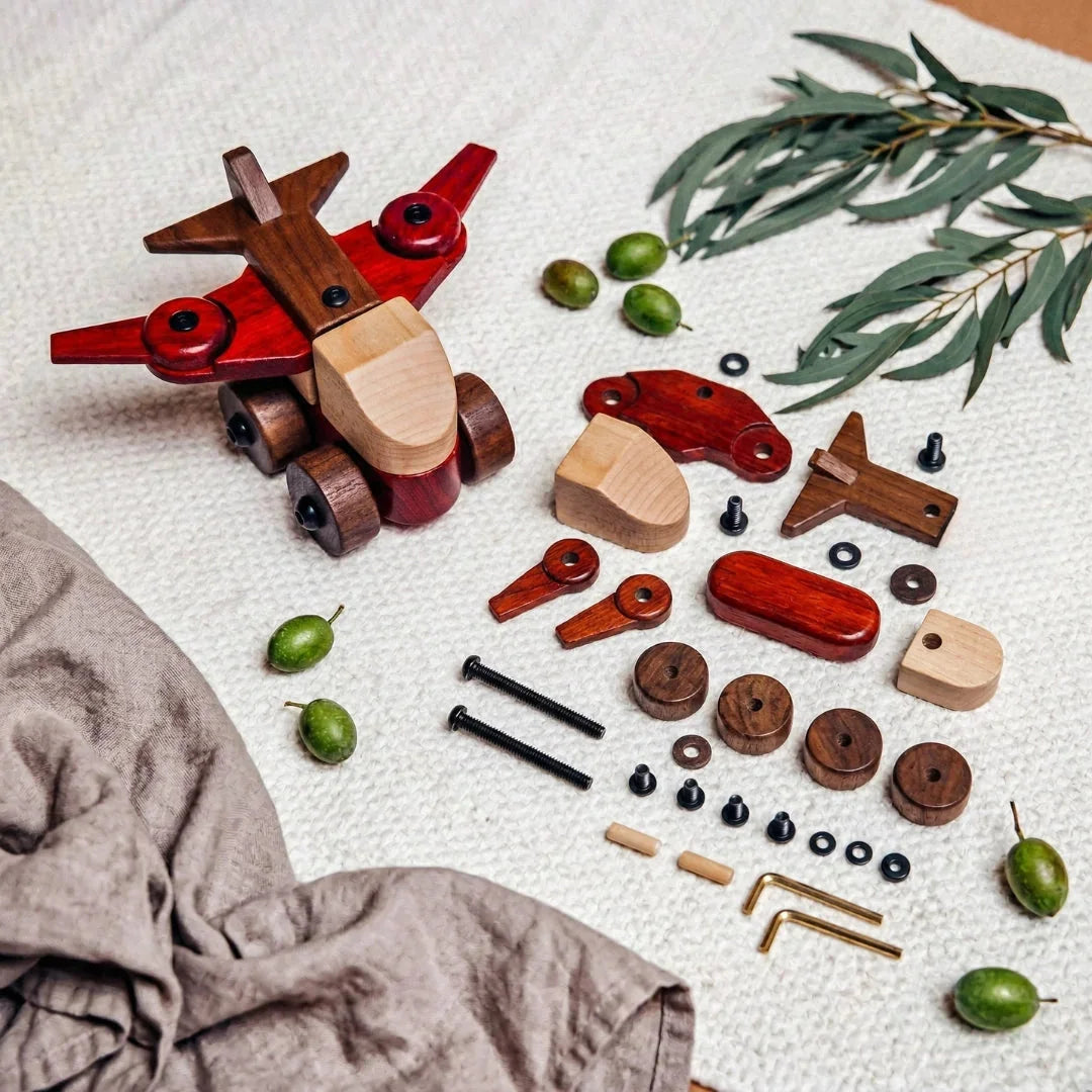 Walnut & Padauk Aeroplane