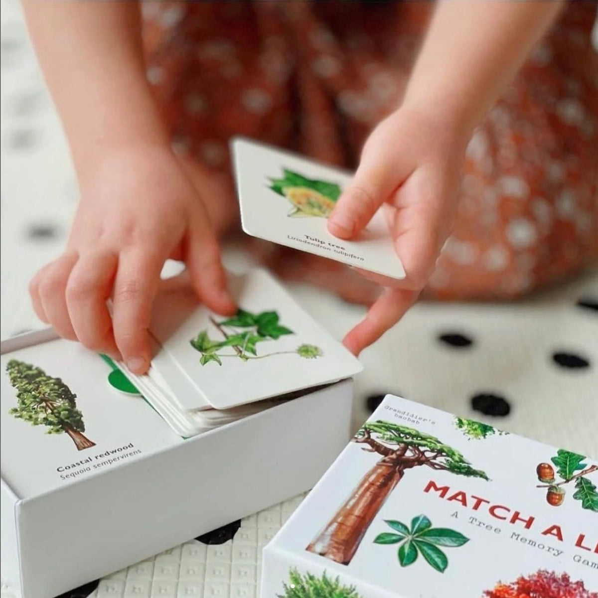 Match a Leaf: A Tree Memory Game