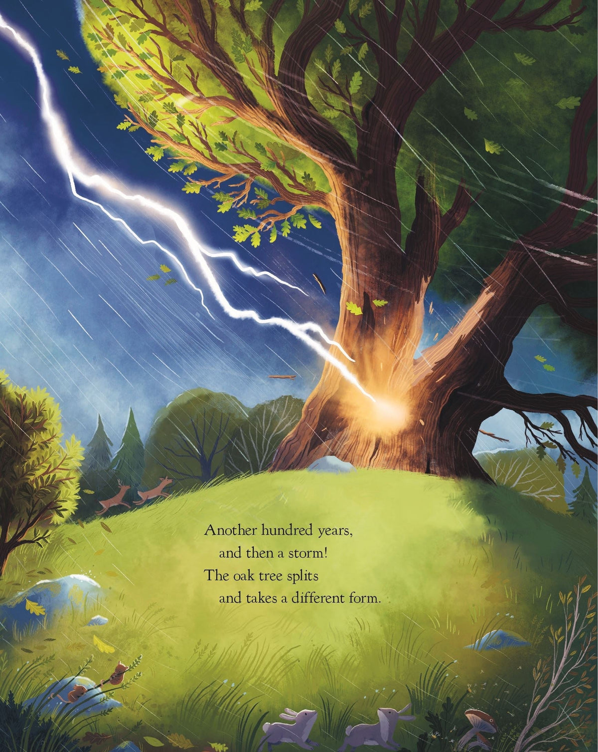 The Oak Tree