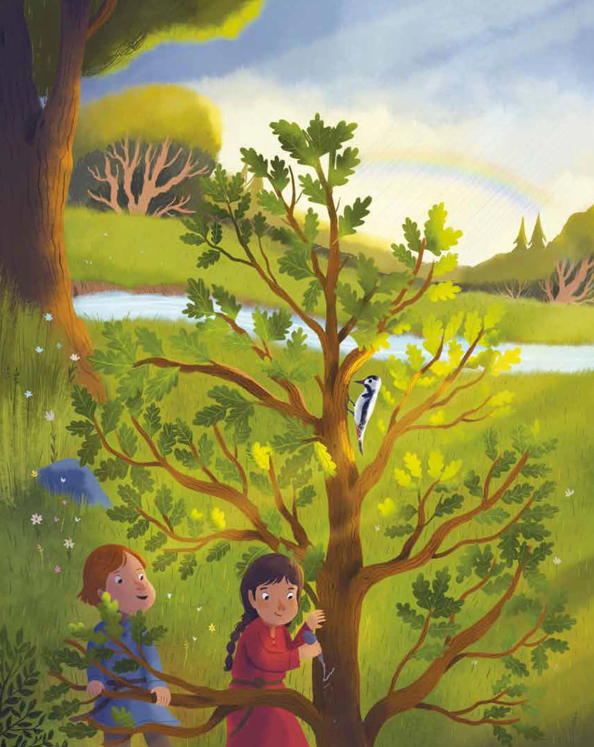 The Oak Tree