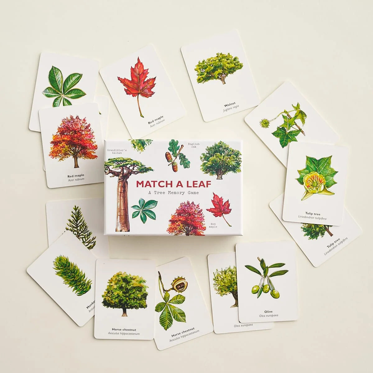 Match a Leaf: A Tree Memory Game
