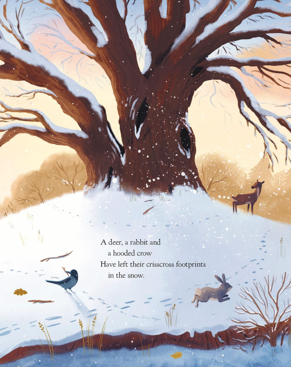 The Oak Tree